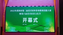 茶茶幸运星主播照片
