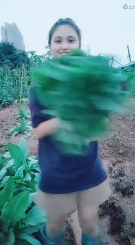 甜蜜未来乐在心怀主播照片
