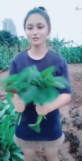 甜蜜未来乐在心怀主播照片