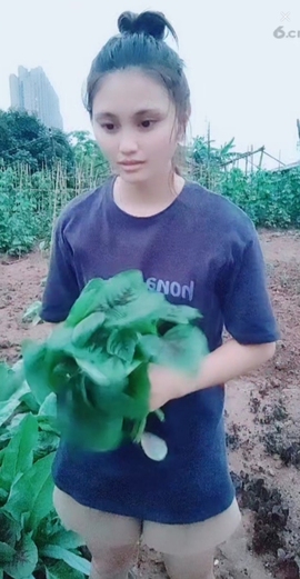 甜蜜未来乐在心怀主播照片