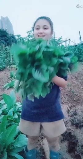 甜蜜未来乐在心怀主播照片