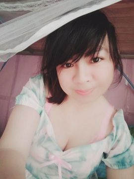 暖冬梅的图片