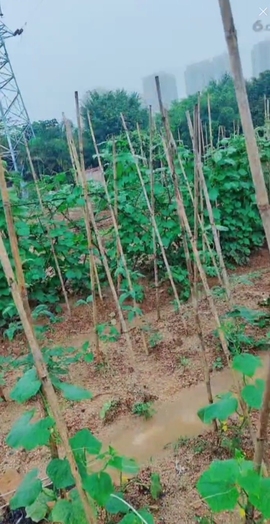 甜蜜未来乐在心怀主播照片