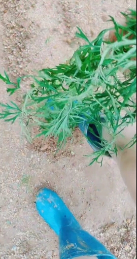 甜蜜未来乐在心怀主播照片