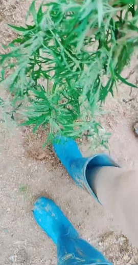 甜蜜未来乐在心怀主播照片