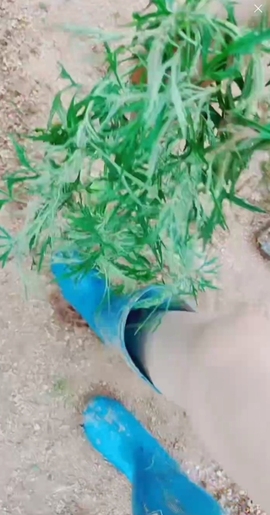 甜蜜未来乐在心怀主播照片