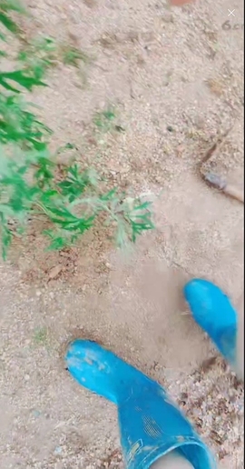 甜蜜未来乐在心怀主播照片