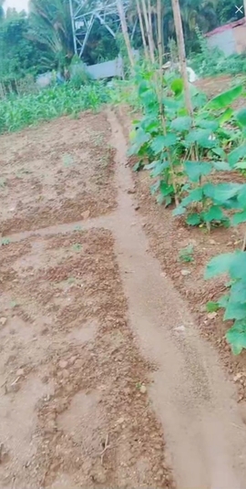 甜蜜未来乐在心怀主播照片