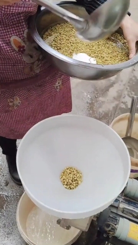 甜蜜未来乐在心怀主播照片