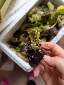 美妞ღ美美美！主播照片