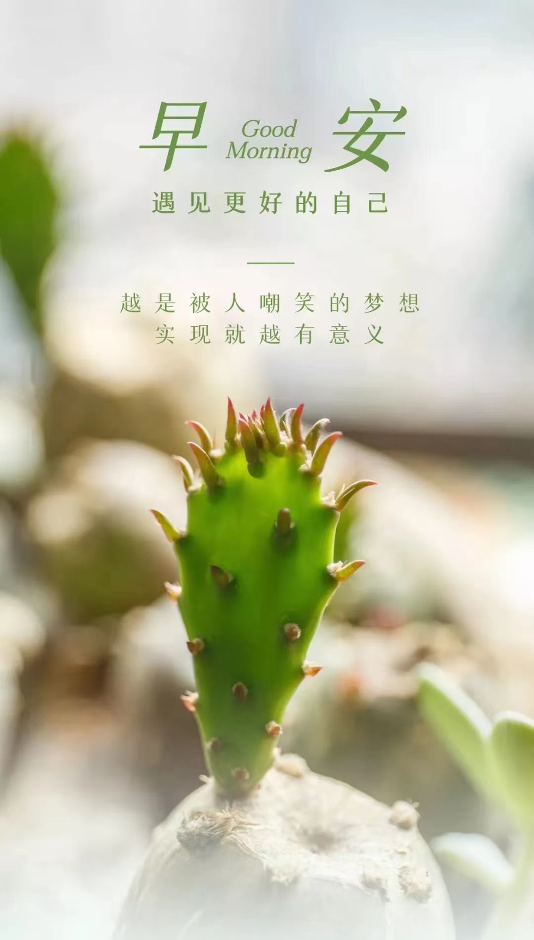 玟玟🌸的图片