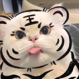 莹儿～晚上见的图片