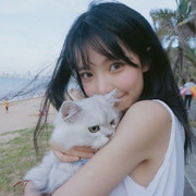 小白蓝猫海报