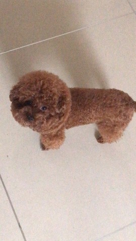 💞天宝💞军训白天主播照片