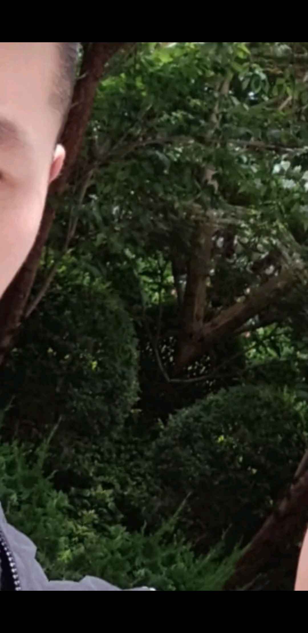 点颗小红心