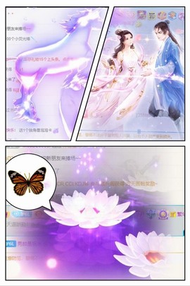 凤凤凤凤凤凤凤凤凤.主播照片