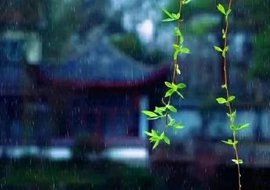 დ释怀დ主播照片