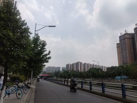 九九暂退来不及告别主播照片