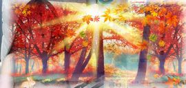 QQ等一个奇迹吧主播照片