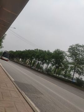 九九暂退来不及告别主播照片