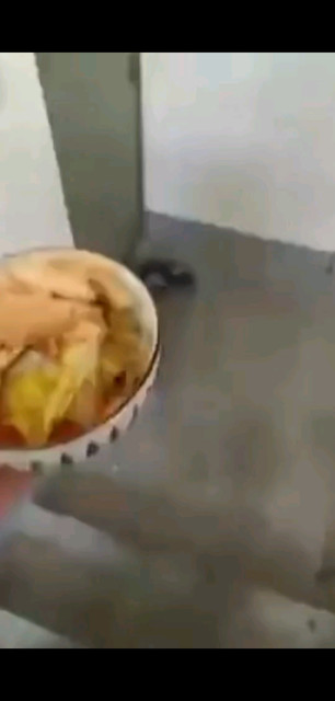 暖心！上海一对夫妻为