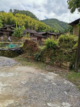 小谢农村田园生活主播照片