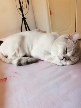 仟亿加油主播照片