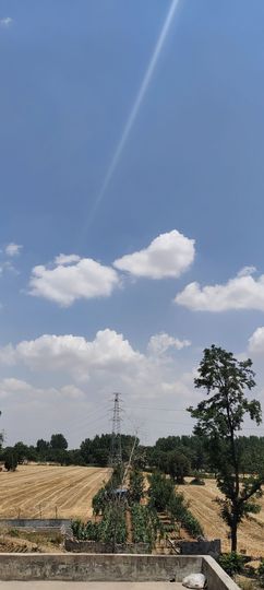 小芳，🌸减肥打卡主播照片