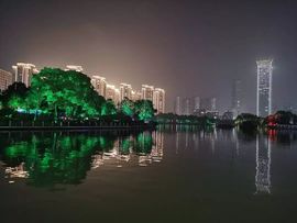 藏獒王∶成龙沸沸主播照片