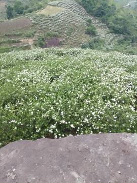 小谢农村田园生活主播照片