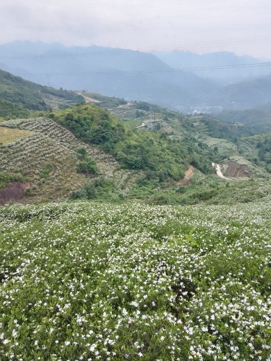 小谢农村田园生活的图片