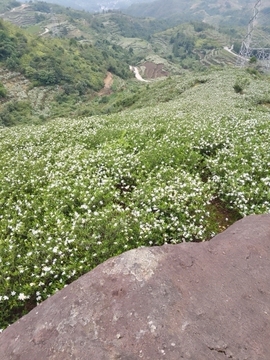 小谢农村田园生活主播照片