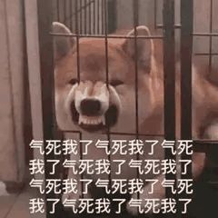 大鹏（真心实意）主播照片