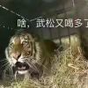 回忆总想哭92