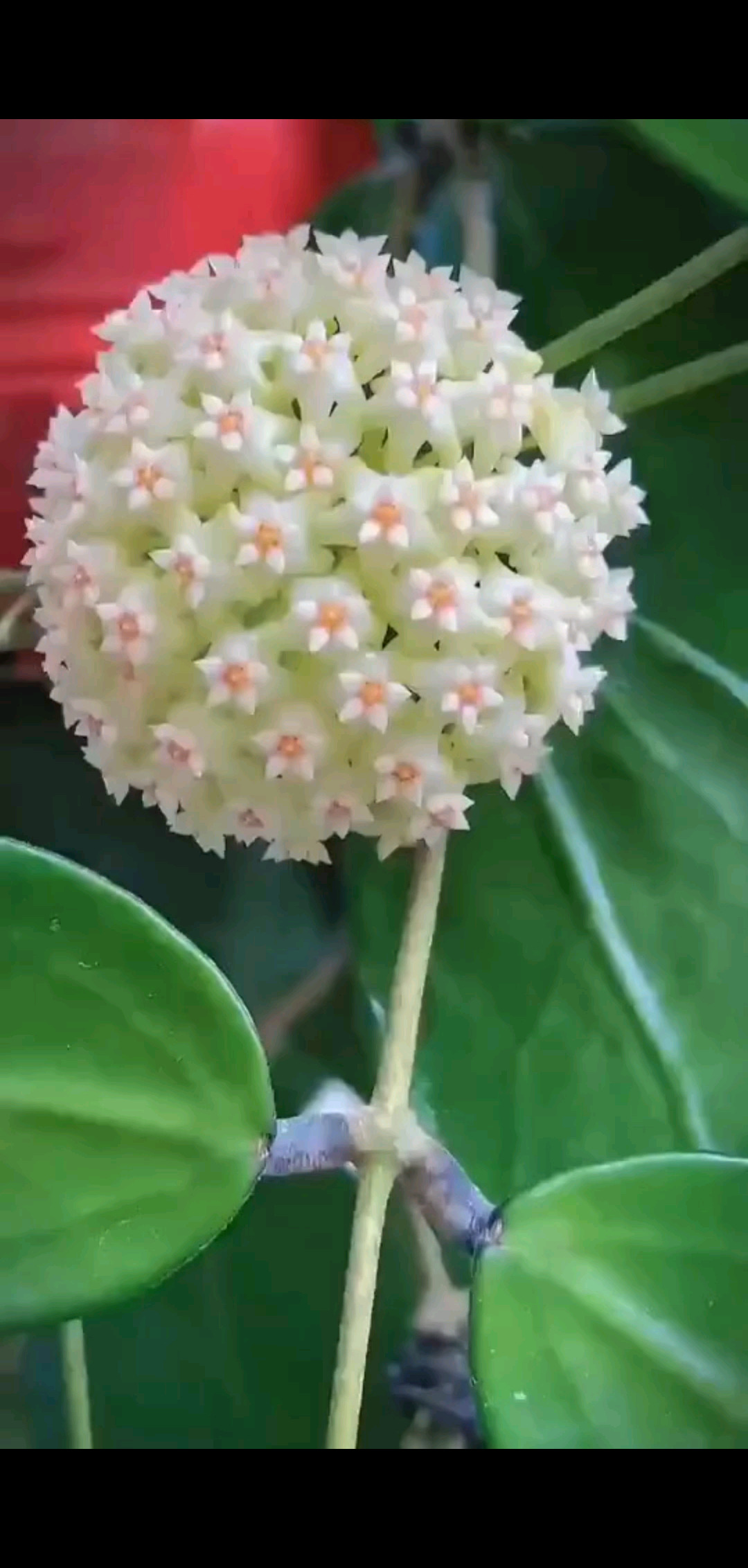 早安ﾉ☀往后余生，多