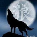 因你而精彩l6