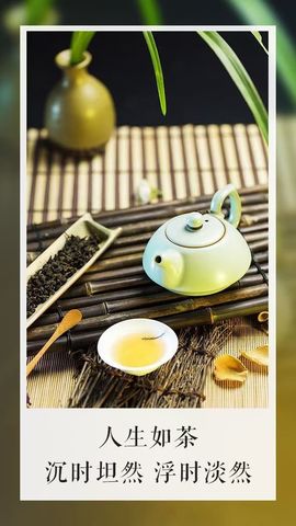 野百合的春天🌱🌱主播照片