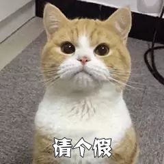 温暖宝宝💰想吃饱饱主播照片