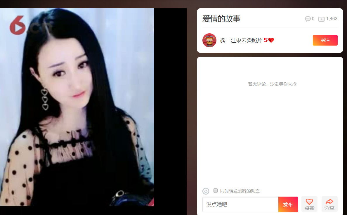 @东厂金龙@照片的图片