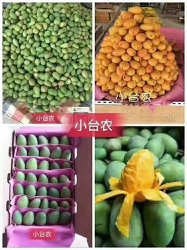 小知秋✨的图片