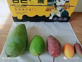 小知秋✨的图片