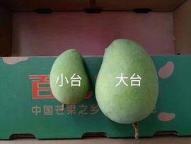 小知秋✨的图片