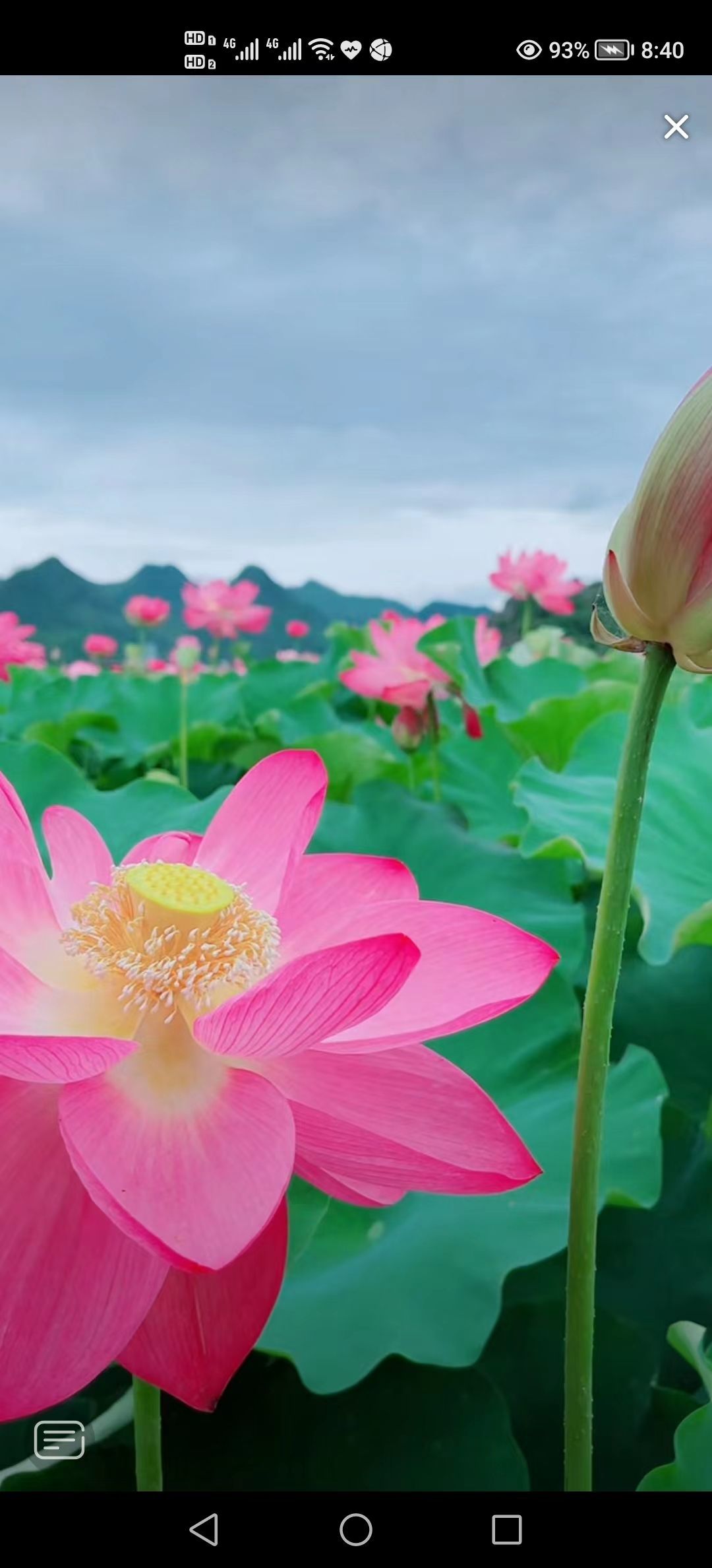 婷婷💕感恩有你陪伴的图片