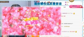 七七没人宠主播照片