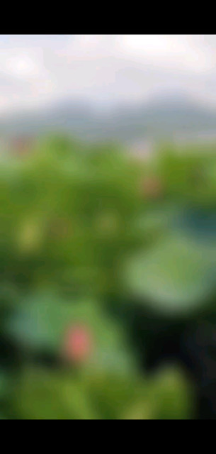 用一颗美好的心看世界