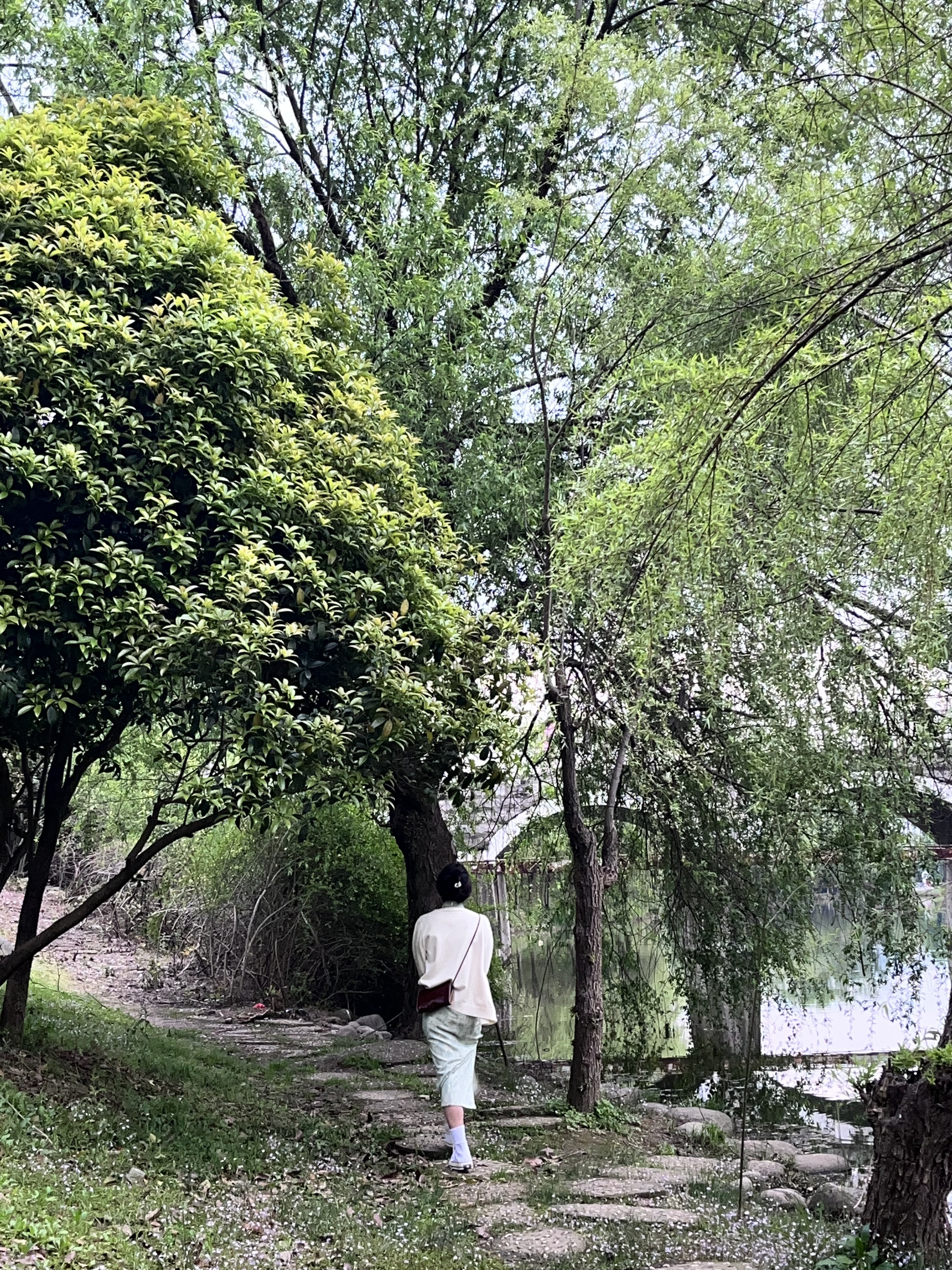 苞米朱古力的图片