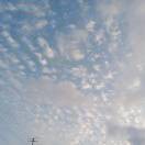 阳光明月43