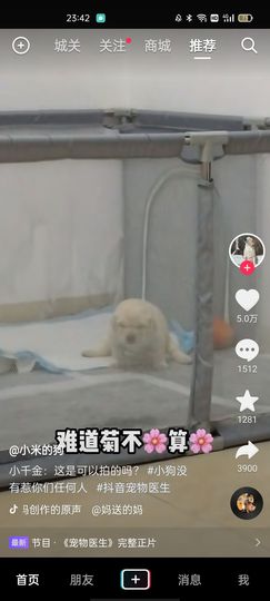 夏天爱炒千金主播照片