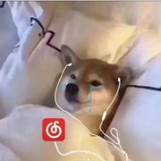 大梦三千回