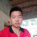 杨国银v